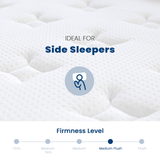 Coolvie 14" Gel Memory Foam Mattress | Euro Top Medium Plush & Pocket Springs