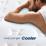 Coolvie 14" Gel Memory Foam Mattress | Euro Top Medium Plush & Pocket Springs