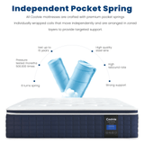Coolvie 14" Gel Memory Foam Mattress | Euro Top Medium Plush & Pocket Springs
